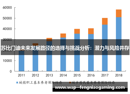 苏比门迪未来发展路径的选择与挑战分析：潜力与风险并存