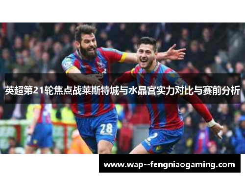 英超第21轮焦点战莱斯特城与水晶宫实力对比与赛前分析