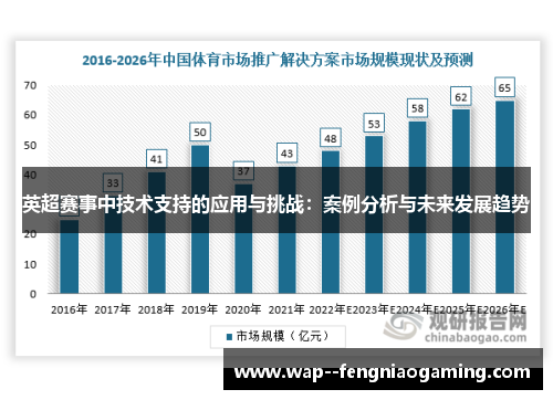 英超赛事中技术支持的应用与挑战：案例分析与未来发展趋势