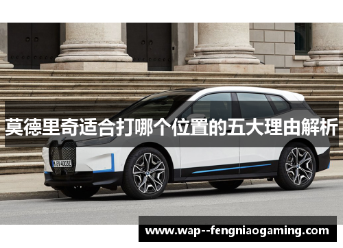 莫德里奇适合打哪个位置的五大理由解析