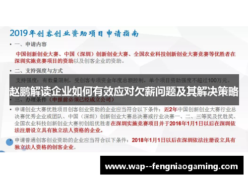 赵鹏解读企业如何有效应对欠薪问题及其解决策略