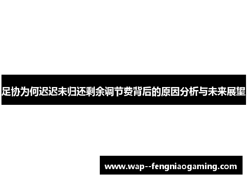 足协为何迟迟未归还剩余调节费背后的原因分析与未来展望 足协为何迟迟未归还剩余调节费背后的原因分析与未来展望