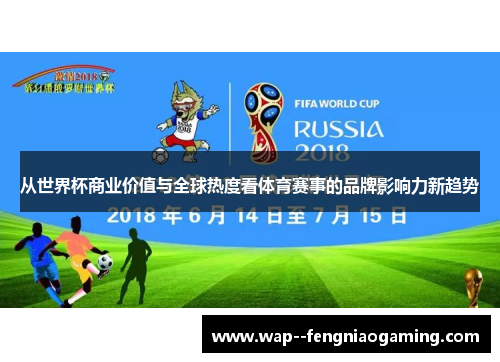 从世界杯商业价值与全球热度看体育赛事的品牌影响力新趋势