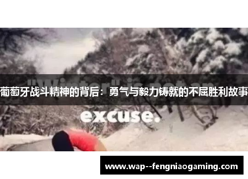 葡萄牙战斗精神的背后:勇气与毅力铸就的不屈胜利故事 葡萄牙战斗精神的背后:勇气与毅力铸就的不屈胜利故事