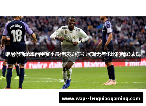 维尼修斯荣膺西甲赛季最佳球员称号 展现无与伦比的精彩表现