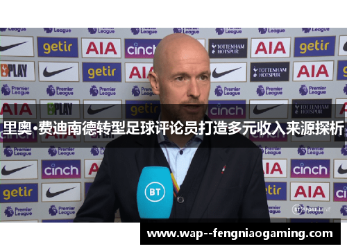 里奥·费迪南德转型足球评论员打造多元收入来源探析