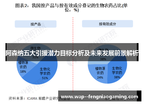 阿森纳五大引援潜力目标分析及未来发展前景解析