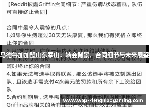 马德鲁加加盟山东泰山：转会背景、合同细节与未来展望