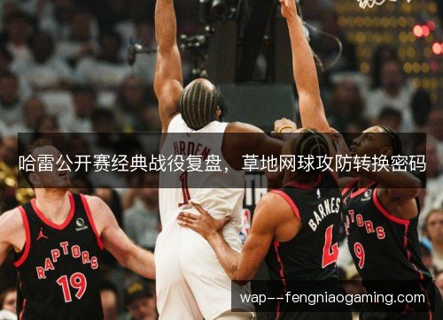 哈雷公开赛经典战役复盘,草地网球攻防转换密码 哈雷公开赛经典战役复盘,草地网球攻防转换密码