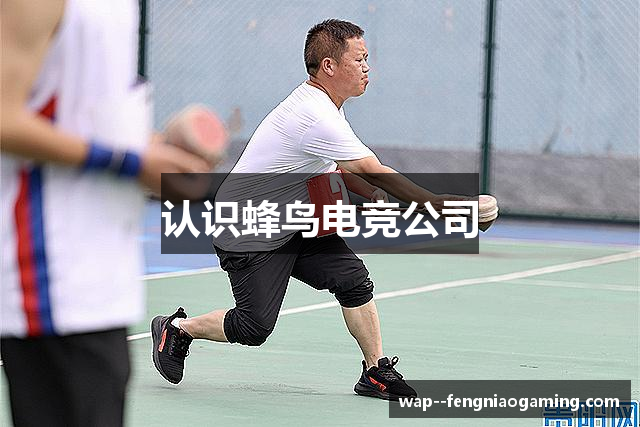 认识蜂鸟电竞公司